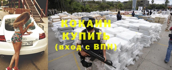 шишки Верхний Тагил
