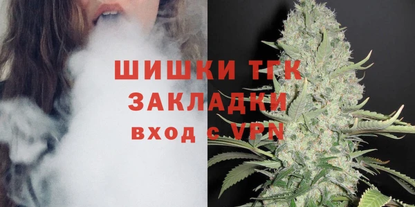 шишки Верхний Тагил