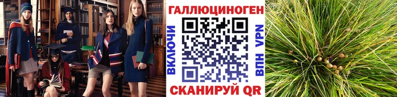 KRAKEN онион  закладка  Великий Новгород  Псилоцибиновые грибы ЛСД 